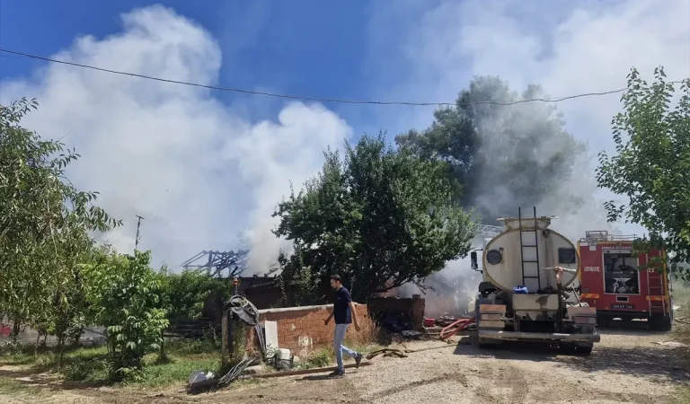 Tokat&apos;ta Yangın: 7 Büyükbaş Hayvan Hayatını Kaybetti