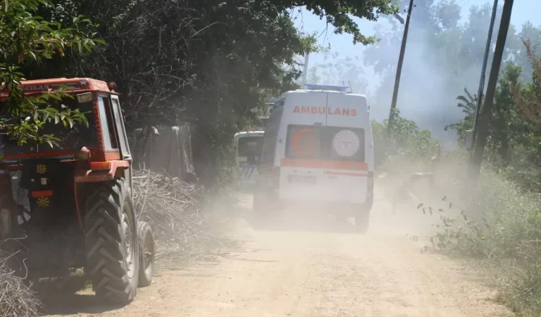Tokat&apos;ta Ahırda Çıkan Yangında 7 Büyükbaş Hayvan Öldü